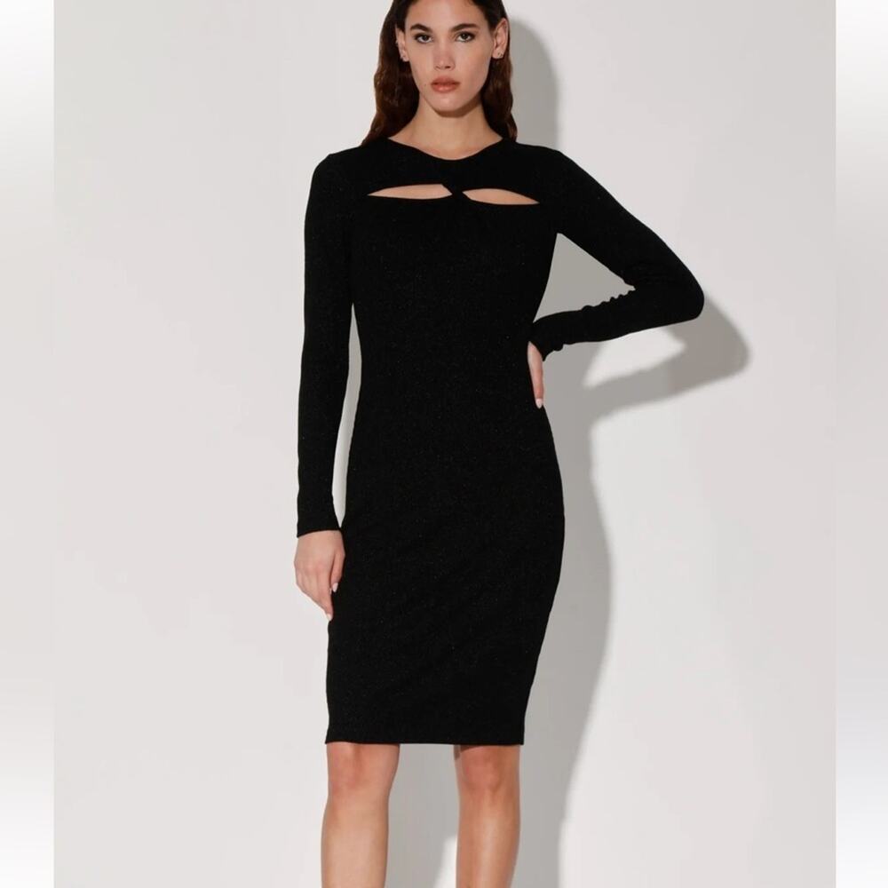Walter Baker Tenley Black Dress